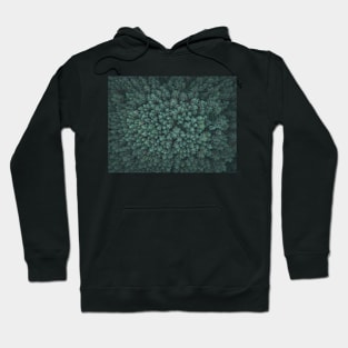 Green pine forest Hoodie